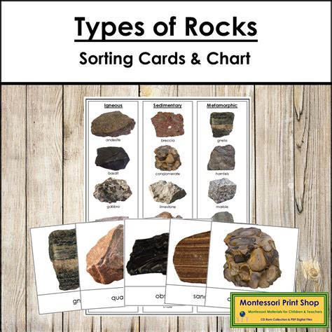 Types Of Sedimentary Rocks For Kids