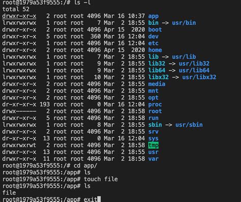 How to Run Python Code in Docker 的图像结果