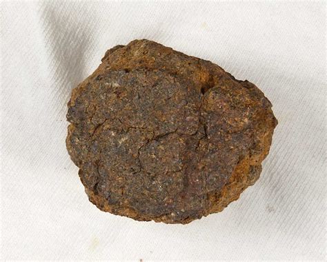 Image result for Meteorite Classification