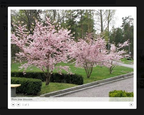 Colorbox Plugin 的图像结果