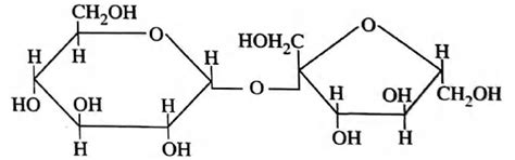In disaccharides, if the reducing groups of monosaccharides i.e ...