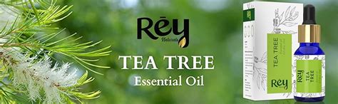 Buy Rey Naturals Pure Tea Tree Essential Oil | Tea Tree Oil For For ...