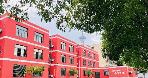 南京 市 鼓楼 实验 小学 202 2023 年度 学生 体质