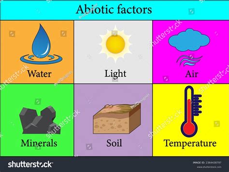 Abiotic Factors Pictures