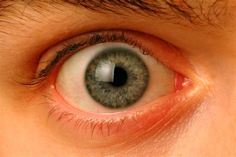 Image result for Probability Comparison Eye Color