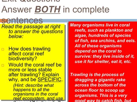 biodiversity-and-ecosystem-stability.ppt