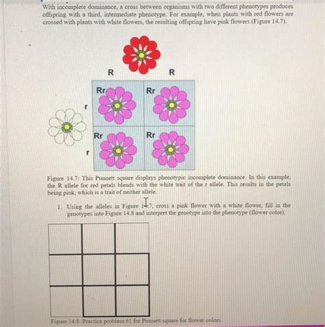 Image result for Incomplete Dominance Cross Example