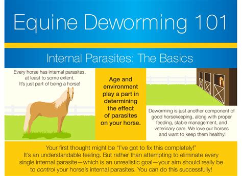Do I Need a Deworming Schedule for My Horse? | Farnam