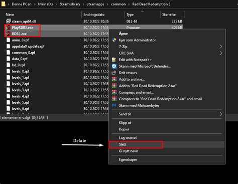 RDR2 Activation Error 的图像结果