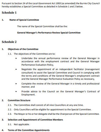 Performance Management Review Object Example 的图像结果