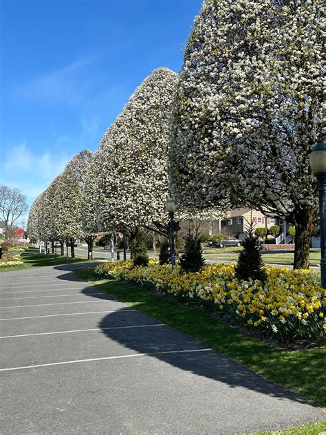 Vander Plaat Funeral Home of Wyckoff | Wyckoff NJ