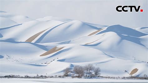 【高清组图】新疆塔克拉玛干沙漠降雪壮美如画-新闻中心-天山网