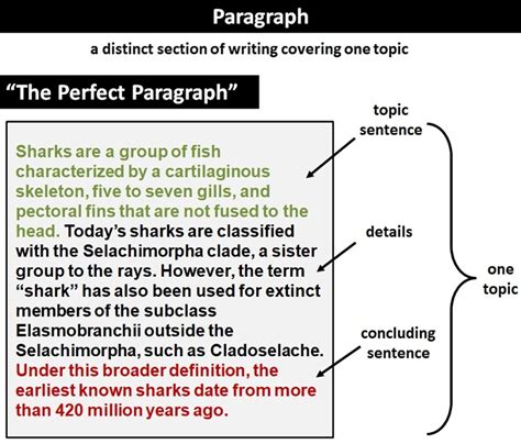 Image result for Paragraph Example