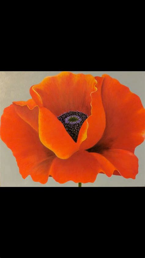 Butterfly Tutorials Angela Anderson 的图像结果