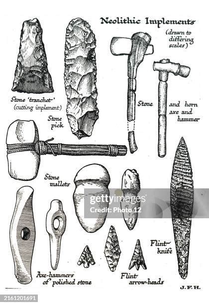 Neolithic Revolution Technology 的图像结果