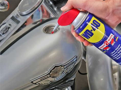 Image result for Remove Rust From Gas Tank