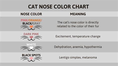 A Guide To The Cat Nose Color Chart