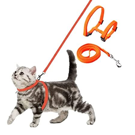 Super Cat Harness & Leash Set – ShakeHands