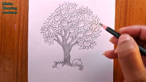 Image result for Simple Apple Tree Drawing