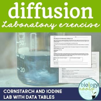 Image result for Diffusion Lab