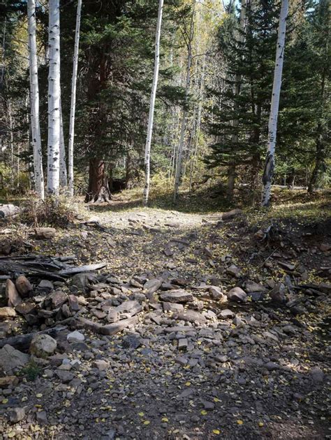 Spring Creek ATV Trail (East), Colorado - GPS Trail Map, Conditions ...
