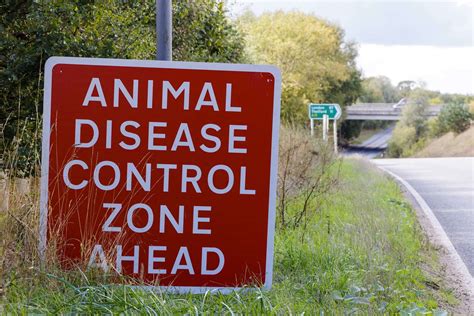 Rising bird flu cases sees Avian Flu Prevention Zone declared across the whole of Great Britain ...