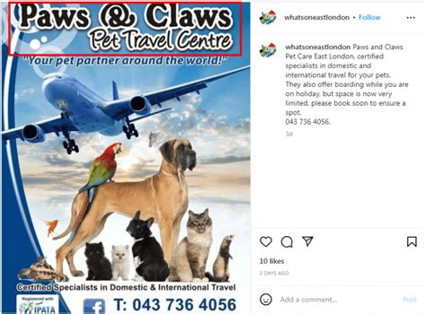 Image result for Creative Brochure Design