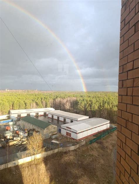 Rezultat imagine pentru Wind Tree