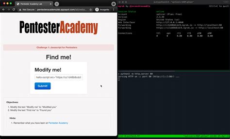 Image result for JavaScript for Pentester PDF