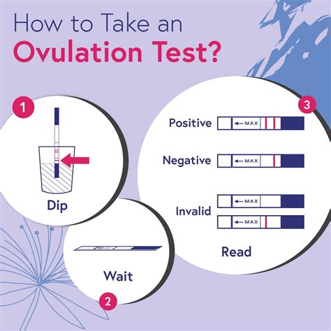 Image result for Ovulation Test