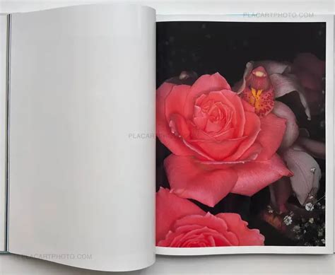 Nobuyoshi Araki, Tenshi-Sai (Angel's Festival), Taiyo Shuppan, 1992 ...