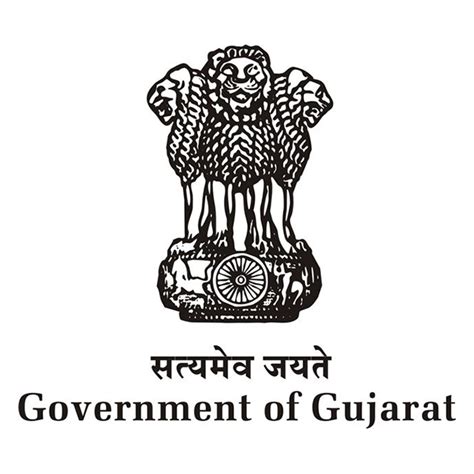 Professional Website Design & Development Company | Shree Infosystem