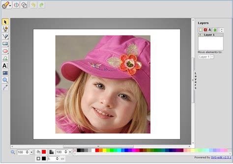 Image result for Editing Vector Images
