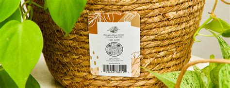 Image result for Barcode Labels Avery