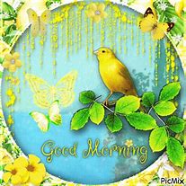 Image result for Animated Birds GIF Good Morning