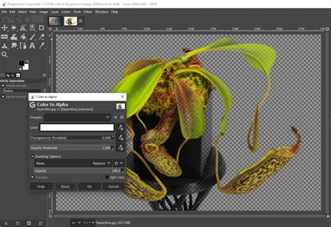 Processing Transparent Fill 的图像结果