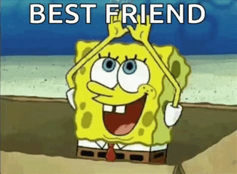 https://gifdb.com/images/high/spongebob-my-best-friend-2202u0h0pzqlyx5p.gif