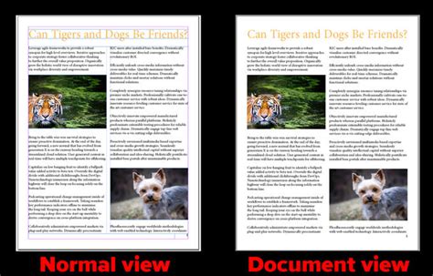 Image result for Indesign Tips and Tricks