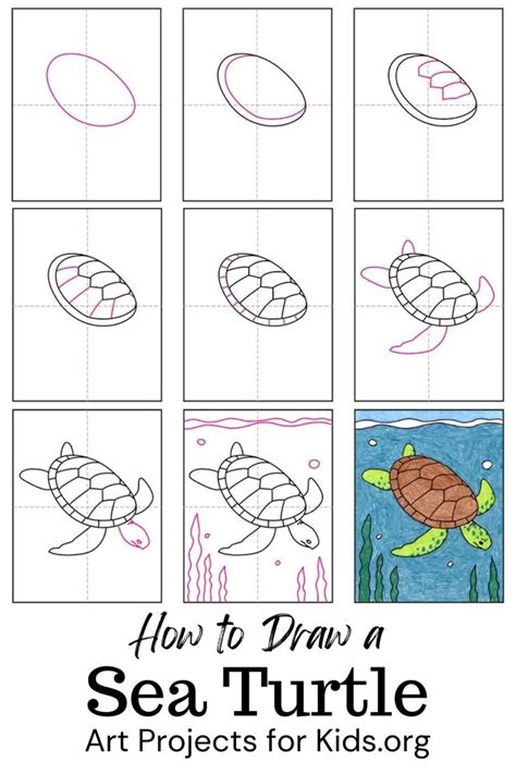Image result for How to Draw a Turtle Step by Step Easy
