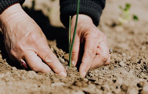 Class 7 NSO Prep Sample test - Life on Earth | Olympiad tester