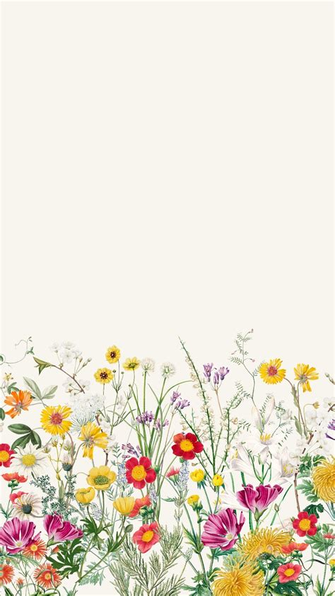 Spring Flowers Border Wallpapers - Wallpaper Cave