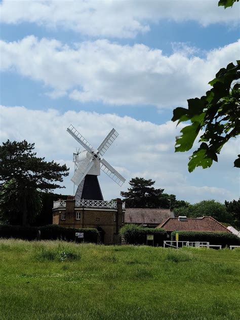 Wimbledon and Putney Commons