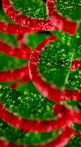 Image result for Blender Tutorial Halloween Candy