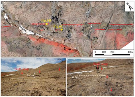 Holocene Activity of the Wudaoliang–Changshagongma Fault of the Eastern ...