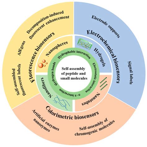 Biosensors | Special Issue : Biosensors Based on Self-Assembly and ...
