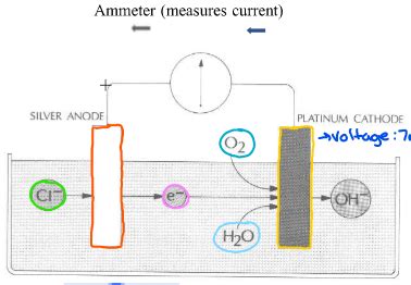 Image result for Clrk Electrode ABG PaO2