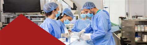 School of Allied Health Sciences - Adypu