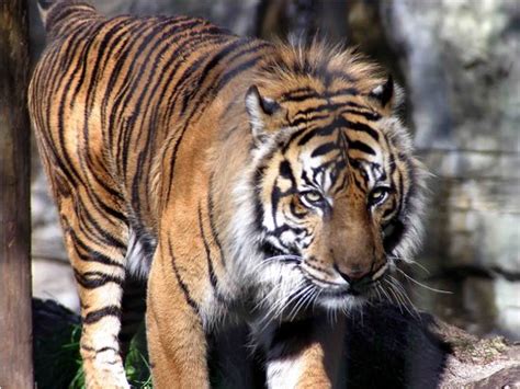 THE BEST Restaurants in Texas (Updated January 2026) - Tripadvisor