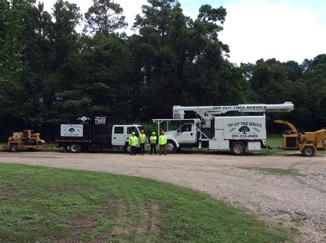 Image result for Tree Top Tree Service