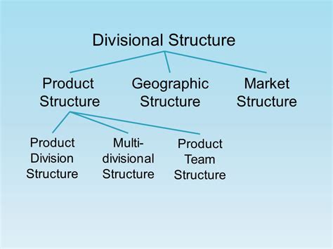 Divisional Structure Model 的图像结果
